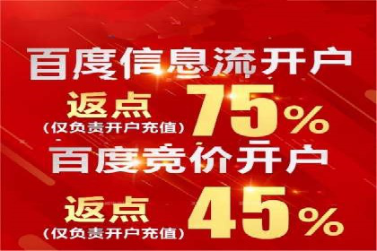 深度解析：百度竞价广告的投放流程与最佳实践